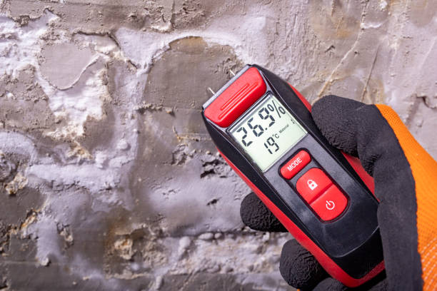 Best Commercial Mold Remediation in Fruitland Park, FL